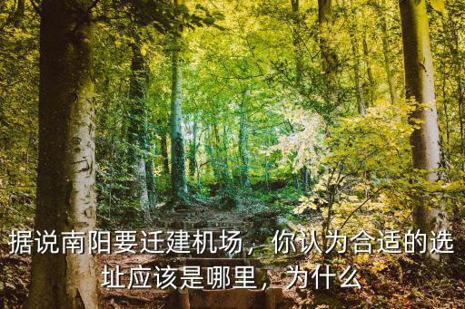 據(jù)說南陽要遷建機場，你認為合適的選址應(yīng)該是哪里，為什么