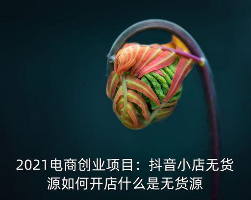 2021電商創業項目：抖音小店無貨源如何開店什么是無貨源