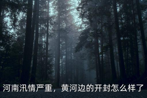 河南汛情嚴重，黃河邊的開封怎么樣了
