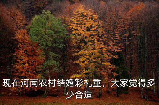 現在河南農村結婚彩禮重，大家覺得多少合適