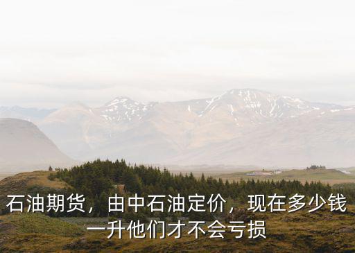 河南省息縣中國石油多少錢一升,中國汽油每升會是多少錢