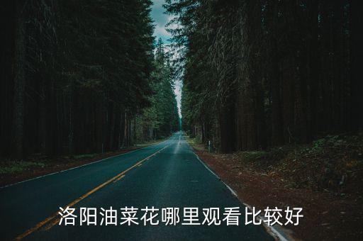 洛陽油菜花哪里觀看比較好