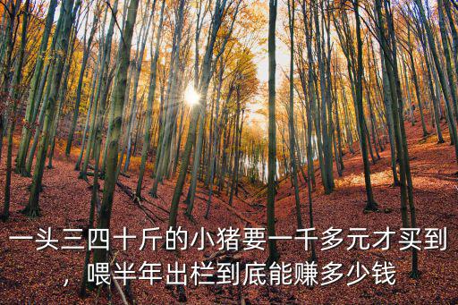 一頭三四十斤的小豬要一千多元才買到，喂半年出欄到底能賺多少錢