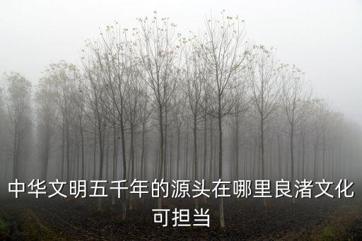 周口中華五千年在哪里,中華文明五千年優勢在哪里