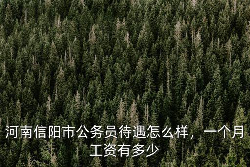 河南信陽市公務員待遇怎么樣，一個月工資有多少
