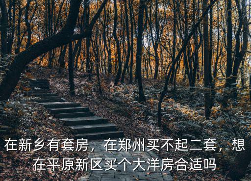 在新鄉(xiāng)有套房，在鄭州買不起二套，想在平原新區(qū)買個大洋房合適嗎