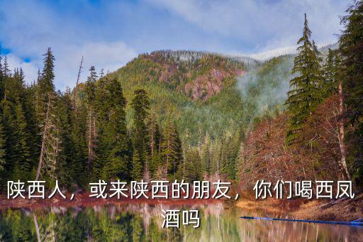 陜西西鳳酒向河南鄭州捐款多少,陜西西鳳酒哪一款最好喝