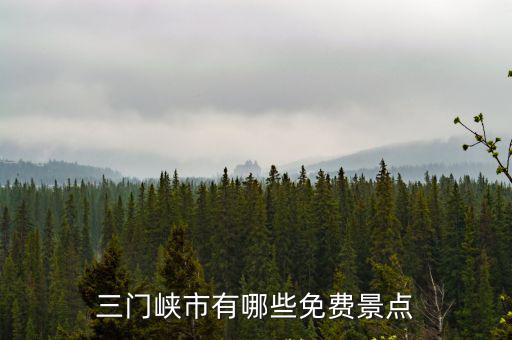 三門峽哪里免費看書,三門峽天鵝湖景區免費了