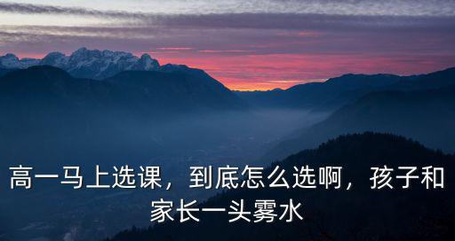 河南高中選課是怎么選,高中選課該怎么選