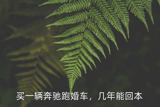 安陽一輛婚車一年能掙多少錢,一個(gè)月大概能掙多少