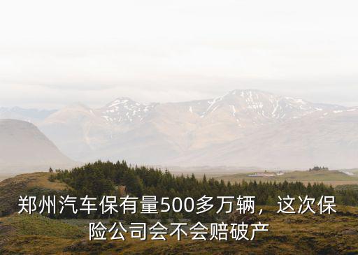 鄭州保險公司賠了多少,這次保險公司會不會賠破產