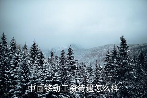 中國移動工資待遇怎么樣