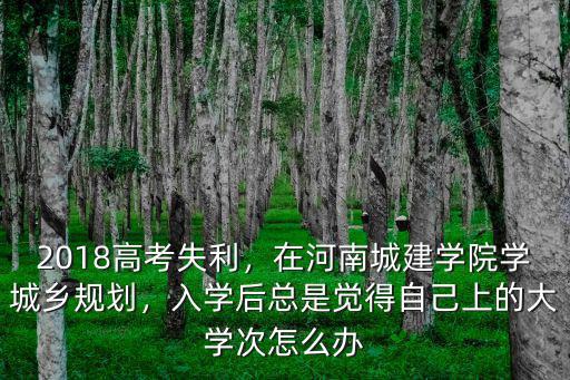 2018高考失利，在河南城建學(xué)院學(xué)城鄉(xiāng)規(guī)劃，入學(xué)后總是覺得自己上的大學(xué)次怎么辦
