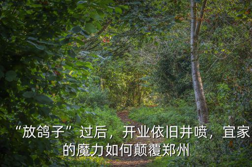 “放鴿子”過后，開業依舊井噴，宜家的魔力如何顛覆鄭州