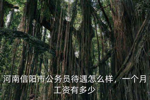 河南信陽市公務員待遇怎么樣，一個月工資有多少