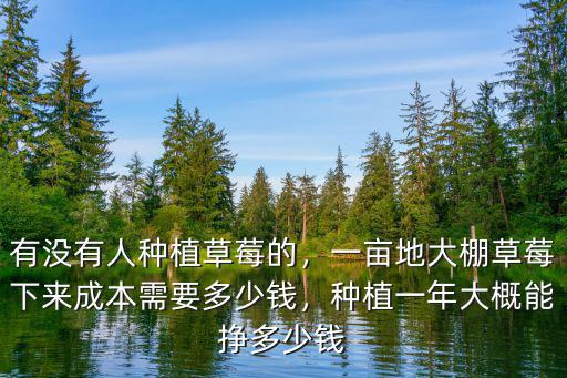 有沒有人種植草莓的，一畝地大棚草莓下來成本需要多少錢，種植一年大概能掙多少錢