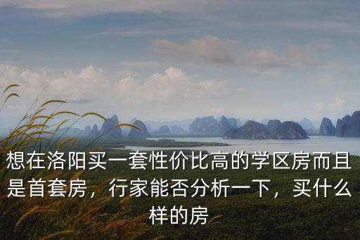 想在洛陽買一套性價比高的學區房而且是首套房，行家能否分析一下，買什么樣的房