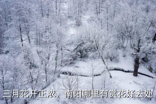 三月花開(kāi)正濃，南陽(yáng)哪里有賞花好去處