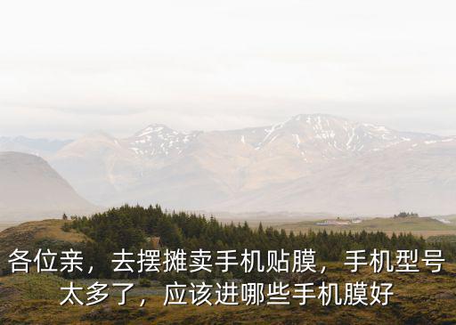 各位親，去擺攤賣手機(jī)貼膜，手機(jī)型號(hào)太多了，應(yīng)該進(jìn)哪些手機(jī)膜好