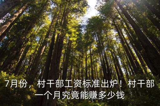信陽村主任一個月工資多少錢,一個月工資有多少