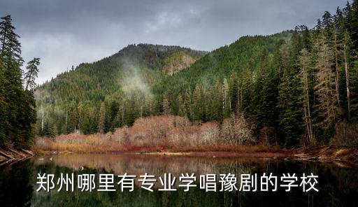鄭州哪里有專業(yè)學(xué)唱豫劇的學(xué)校
