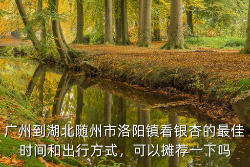 廣州到湖北隨州市洛陽鎮(zhèn)看銀杏的最佳時(shí)間和出行方式，可以攤薦一下嗎