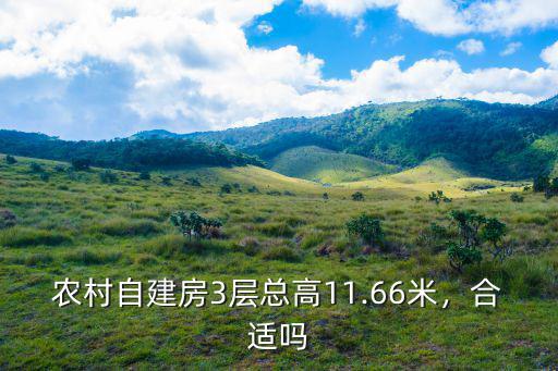農村自建房3層總高11.66米，合適嗎