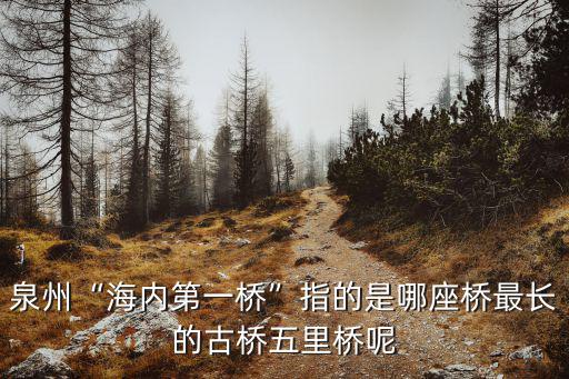 海內第一橋洛陽橋在哪里,泉州海內第一橋指的是哪座橋