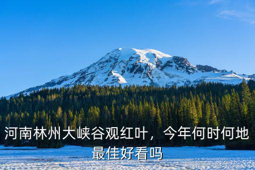 河南林州大峽谷觀紅葉，今年何時(shí)何地最佳好看嗎