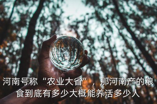 河南號(hào)稱“農(nóng)業(yè)大省”，那河南產(chǎn)的糧食到底有多少大概能養(yǎng)活多少人
