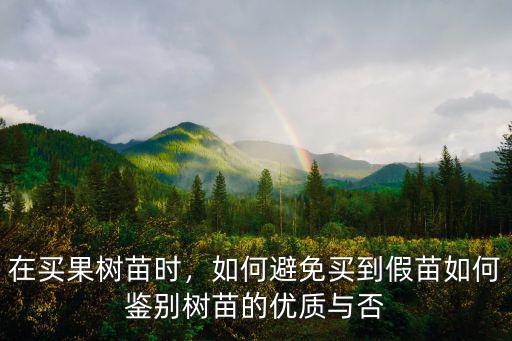 在買果樹苗時，如何避免買到假苗如何鑒別樹苗的優質與否