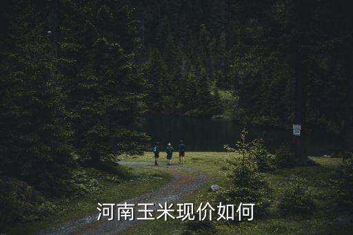 河南玉米現價如何