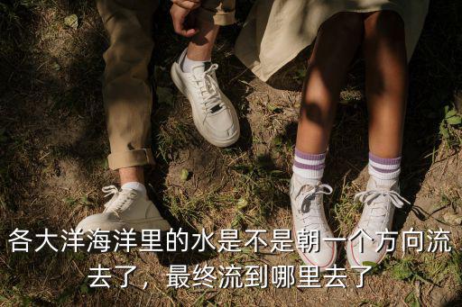 各大洋海洋里的水是不是朝一個方向流去了，最終流到哪里去了
