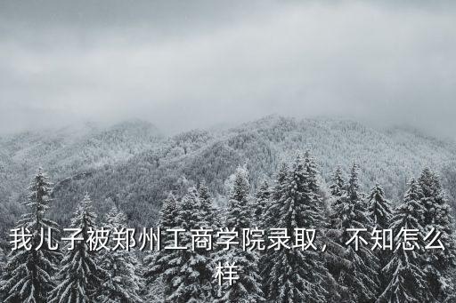 我兒子被鄭州工商學院錄取，不知怎么樣