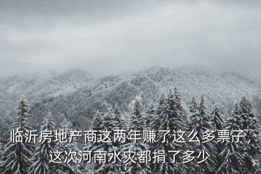臨沂房地產商這兩年賺了這么多票子，這次河南水災都捐了多少