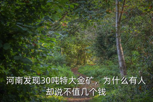 河南五虎圖多少錢,河南農(nóng)村有多少錢算有錢