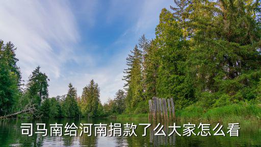 楚河捐款河南多少,河南洪災(zāi)你捐款了嗎