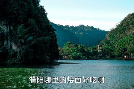 濮陽哪里的燴面好吃啊