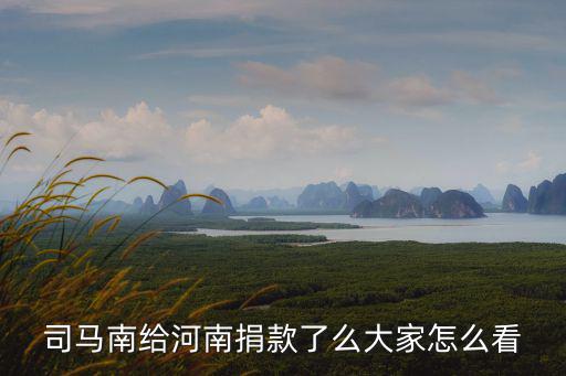 司馬南給河南捐款了么大家怎么看