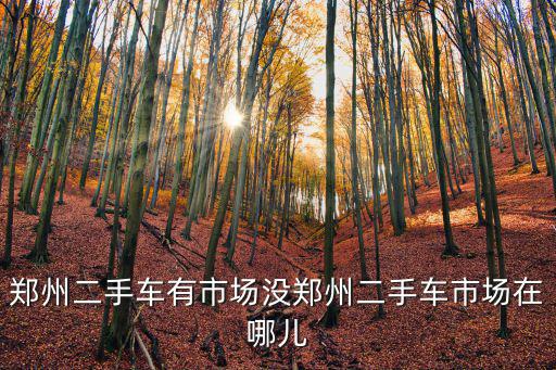 鄭州二手車(chē)有市場(chǎng)沒(méi)鄭州二手車(chē)市場(chǎng)在哪兒