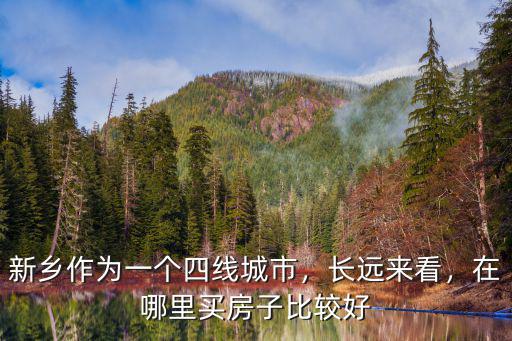 新鄉作為一個四線城市，長遠來看，在哪里買房子比較好