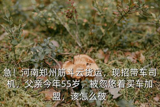 急！河南鄭州筋斗云貨運，現招帶車司機，父親今年55歲，被忽悠著買車加盟，該怎么破