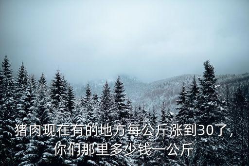 豬肉現在有的地方每公斤漲到30了，你們那里多少錢一公斤