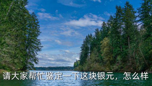 請大家幫忙鑒定一下這塊銀元，怎么樣