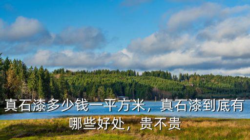真石漆多少錢一平方米，真石漆到底有哪些好處，貴不貴