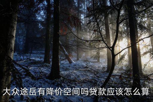大眾途岳有降價空間嗎貸款應該怎么算