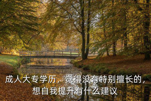 成人大專學歷，覺得沒有特別擅長的，想自我提升有什么建議
