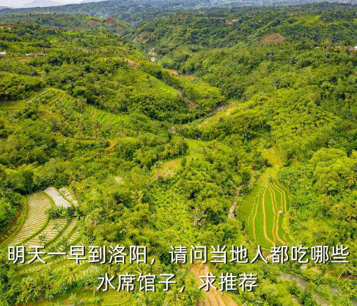 明天一早到洛陽，請問當地人都吃哪些水席館子，求推薦