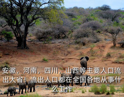 安徽，河南，四川，山西等主要人口流出大省！流出人口都在全國各地從事什么工作