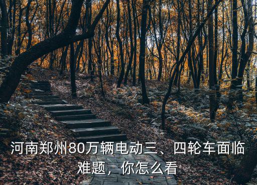 河南鄭州80萬輛電動三、四輪車面臨難題，你怎么看